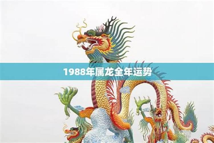 1988年属龙全年运势