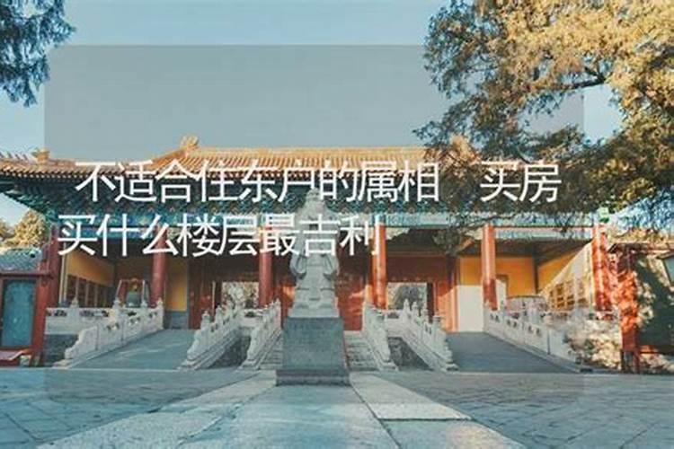 属相与东户西户