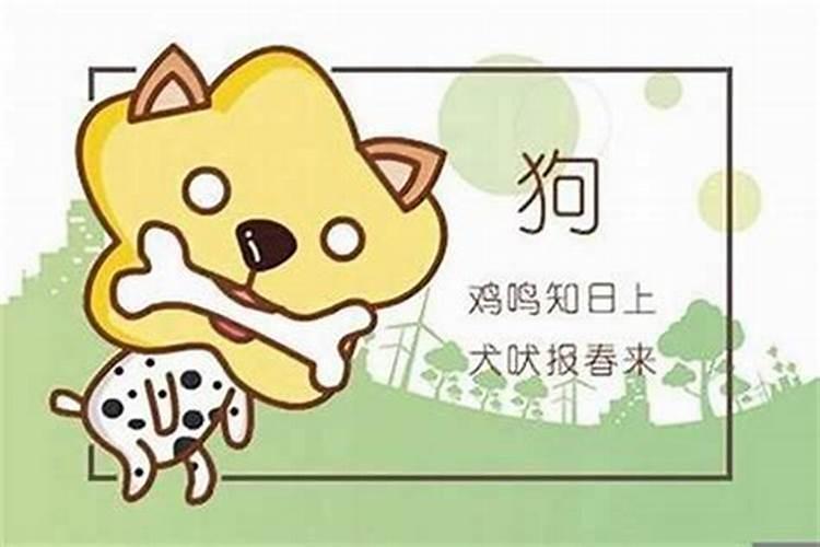 三月猪和九月羊八字合吗