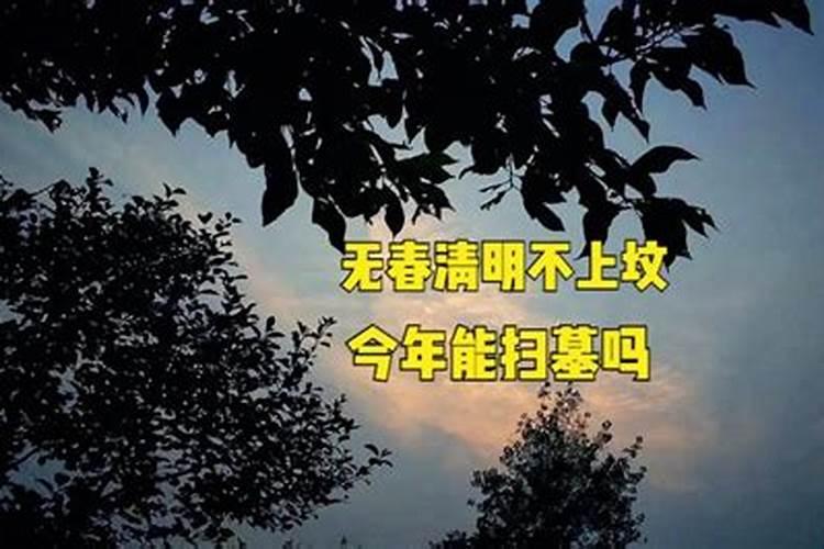 四月三号不能扫墓吗