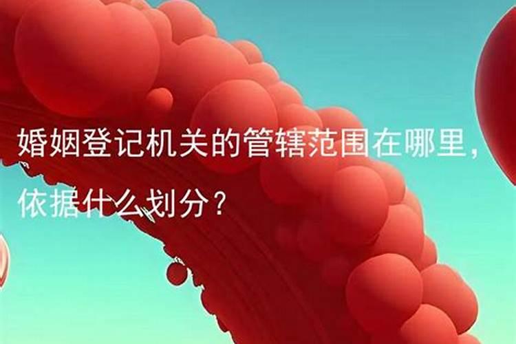 梦见小马是什么预兆周公解梦