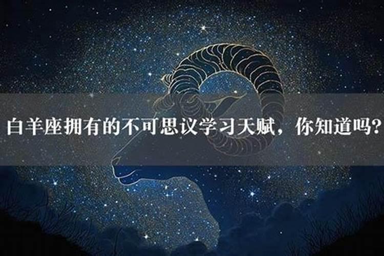 白羊专情吗