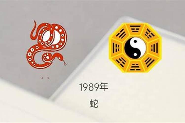 2023属蛇的运势和财运1977年