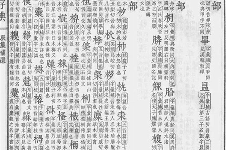 康熙字典取名专用有哪些字体