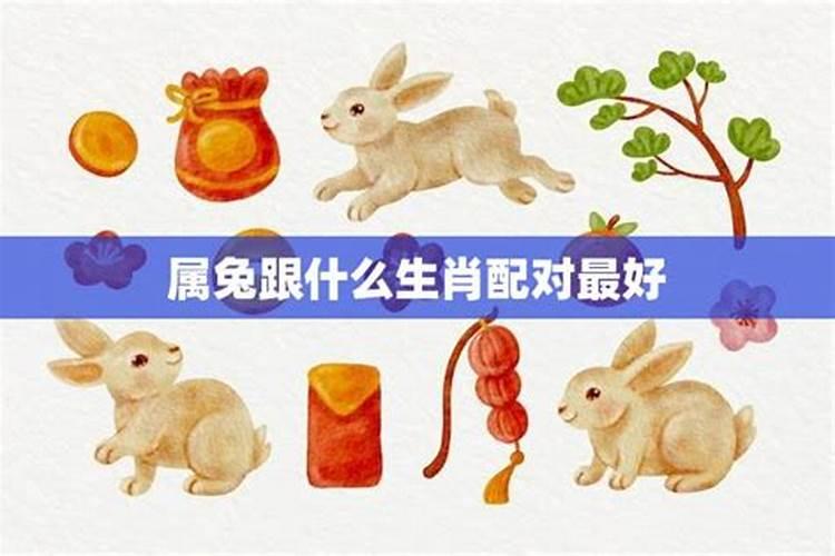 属兔生日礼物什么最好