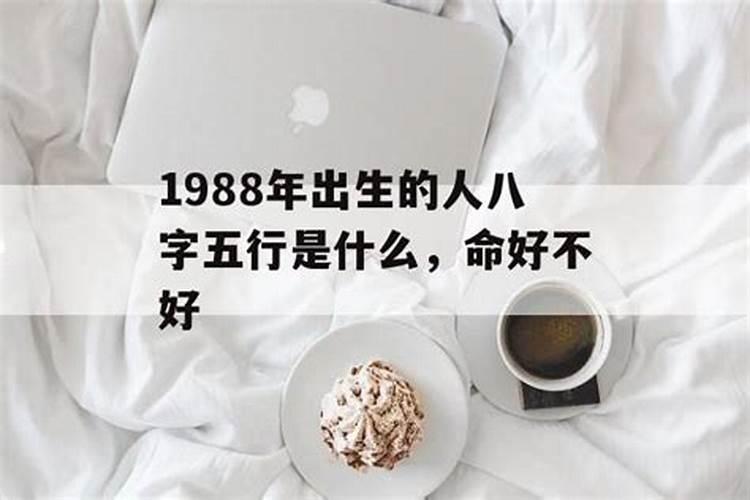 1988冬至出生女的命运