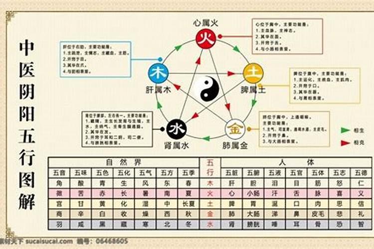 五行所属阴阳