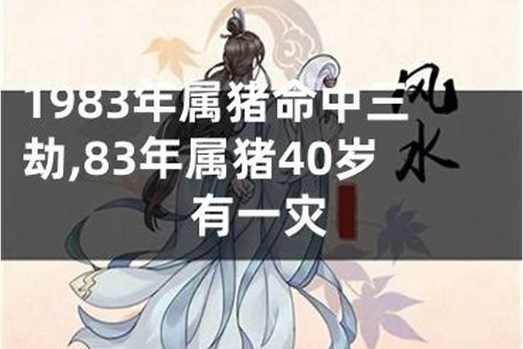 83年属猪今年有灾难吗