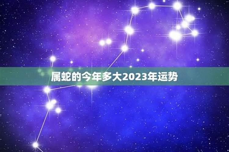 2023年属蛇的多少岁了