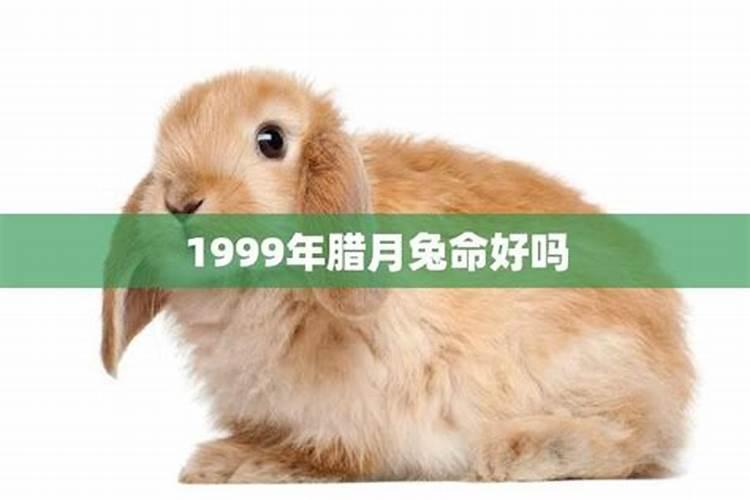 2023年腊月属兔女一生的运势