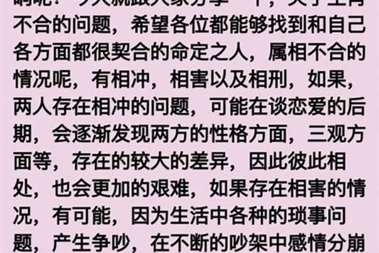 属相不合八字不合的人真的不能在一起吗