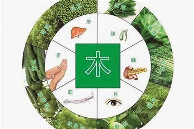 五行缺水缺木怎么办