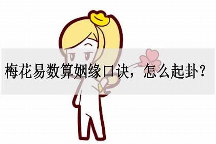 梅花易数占婚姻如何起卦