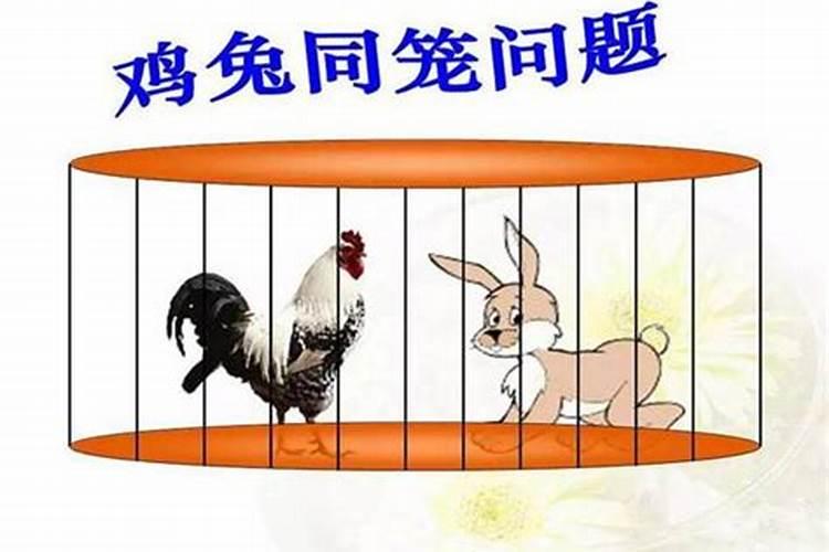 鸡兔同笼是什么意思