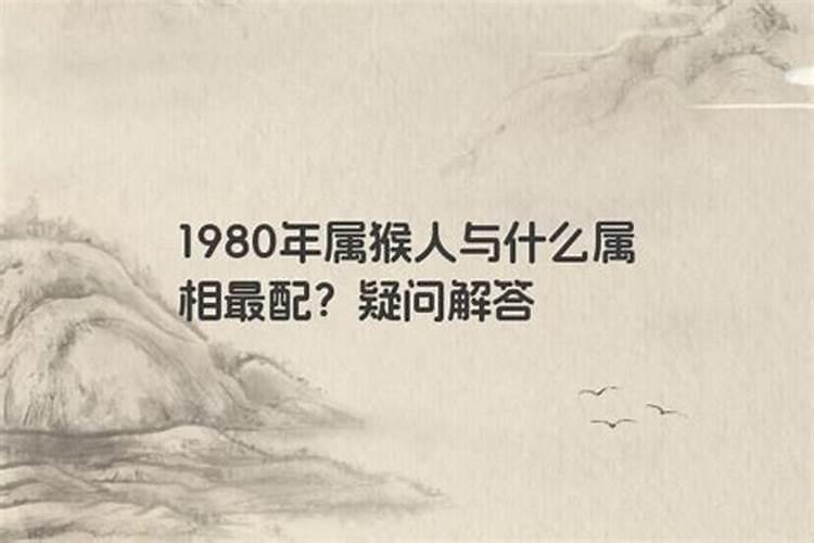 1980年属猴跟什么属相配