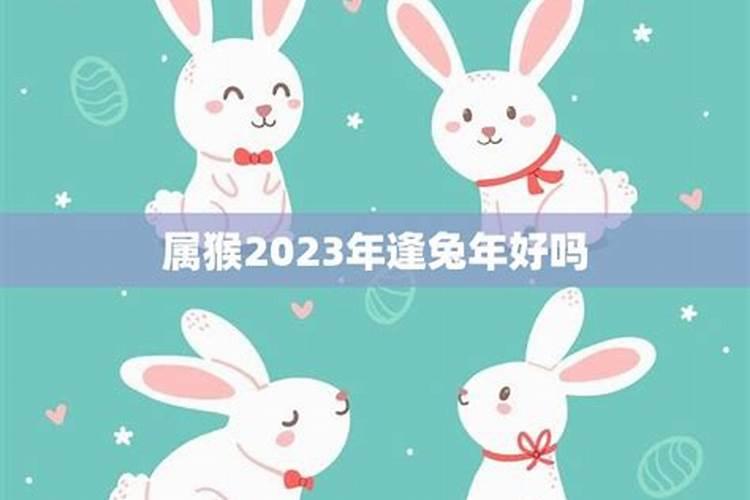 2023年兔年好吗