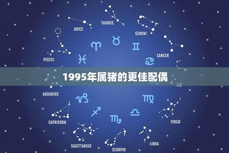 女1995年属猪的最佳配偶