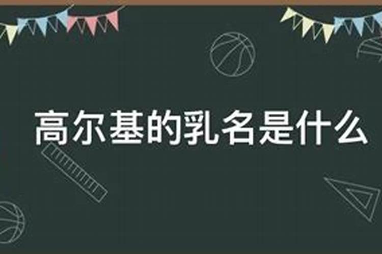 阿廖沙的乳名是什么