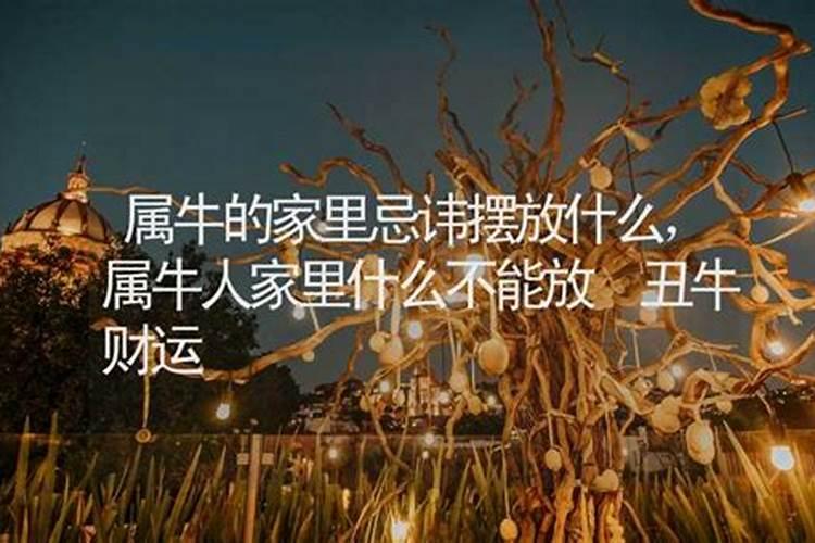 属牛人要忌讳家里摆什么