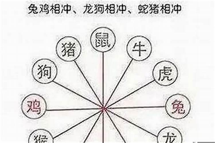 和生肖鼠的相克的属相是什么