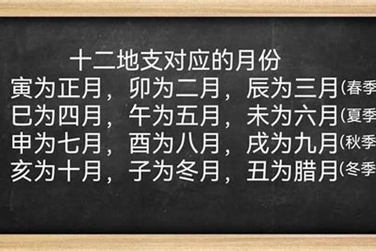 猴年马月的解释是什么