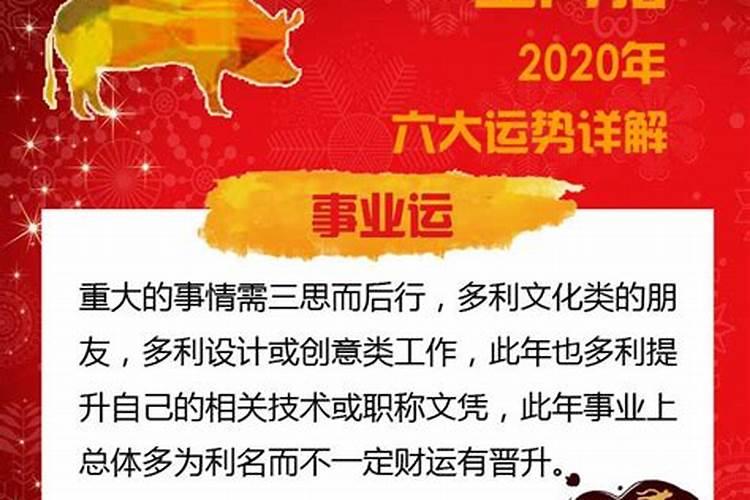 属猪人2020年下半年爱情运势