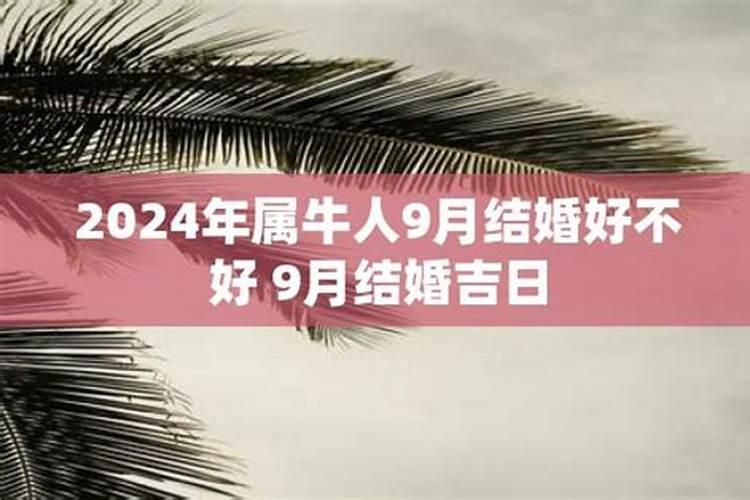 属牛9月出生好不好