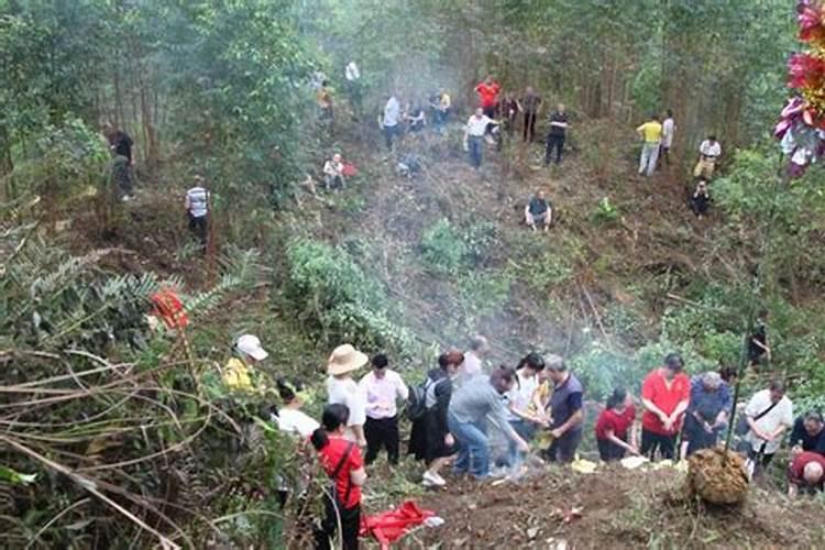 广西清明节祭扫活动