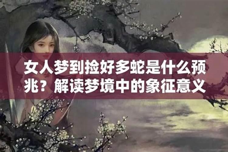 梦到好多蛇是什么预兆解梦女人