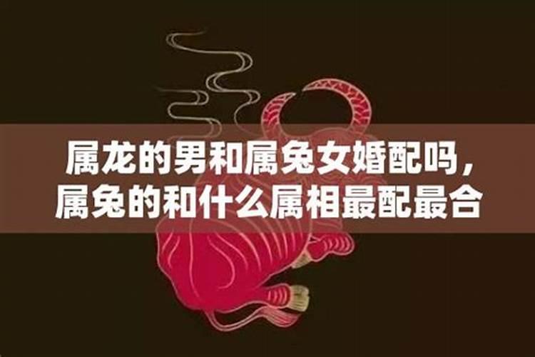 属龙的男的最佳婚配