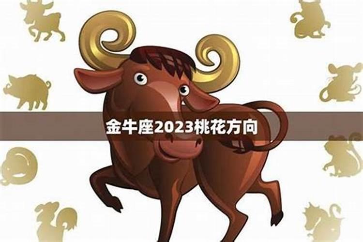 2023金牛座下半年事业运