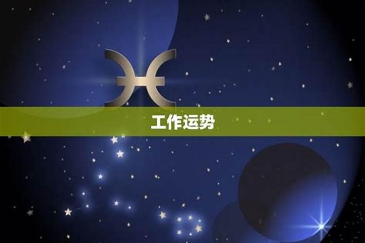 明天什么星座运势是什么