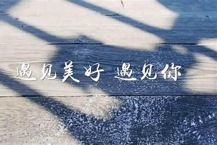 那些惊艳了时光，温柔了岁月的名字是什么