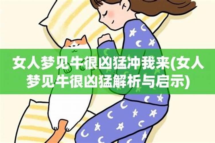 梦见牛很凶猛冲我来我无处可逃跳水里