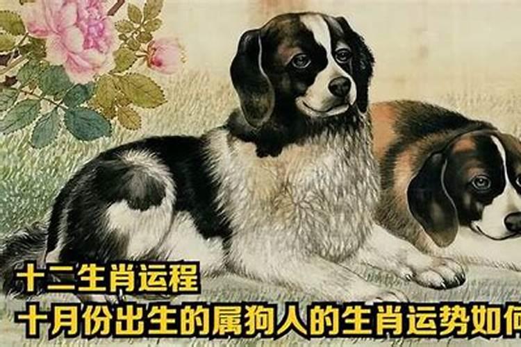 十月份生肖狗运势