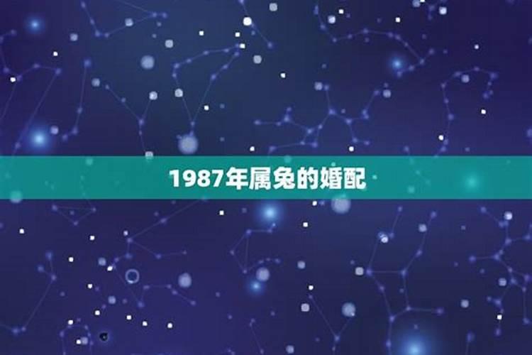 1987年兔女与什么属相婚配好