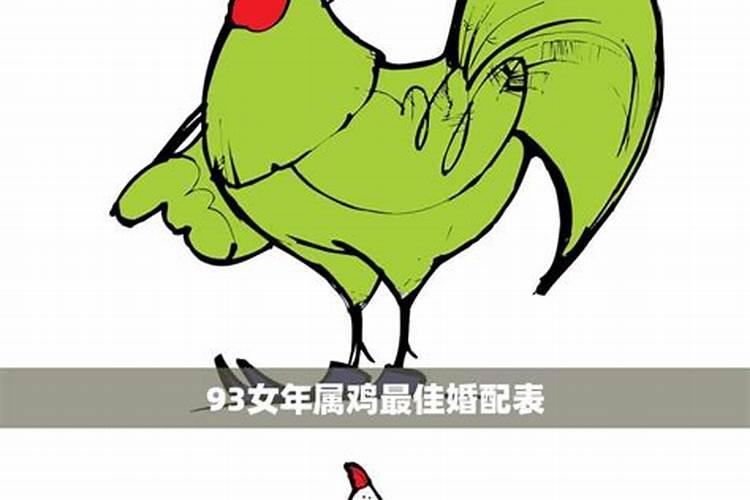 93年属鸡男和93年鸡女配吗