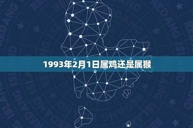 1993年正月初十属鸡还是属猴