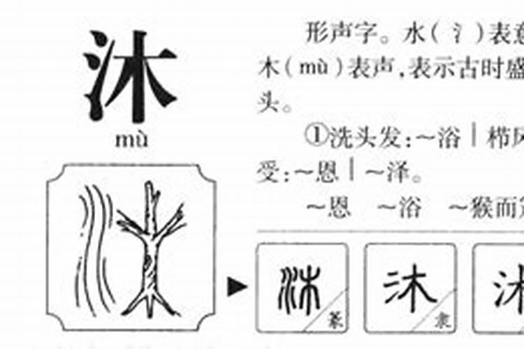 沐字五行属什么属性水