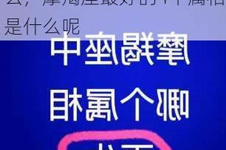 摩羯最好的4个属相