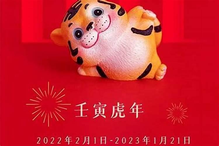 2023年出生的宝宝生肖是