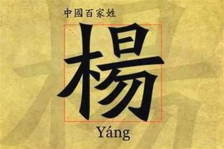 给杨姓宝宝起名男孩名字大全