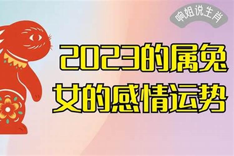 2023生肖兔女感情运势如何