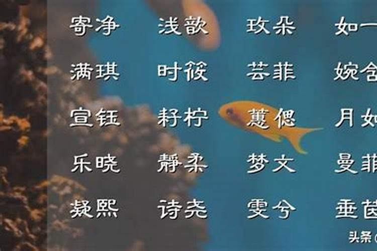 富有诗意的宝宝名字