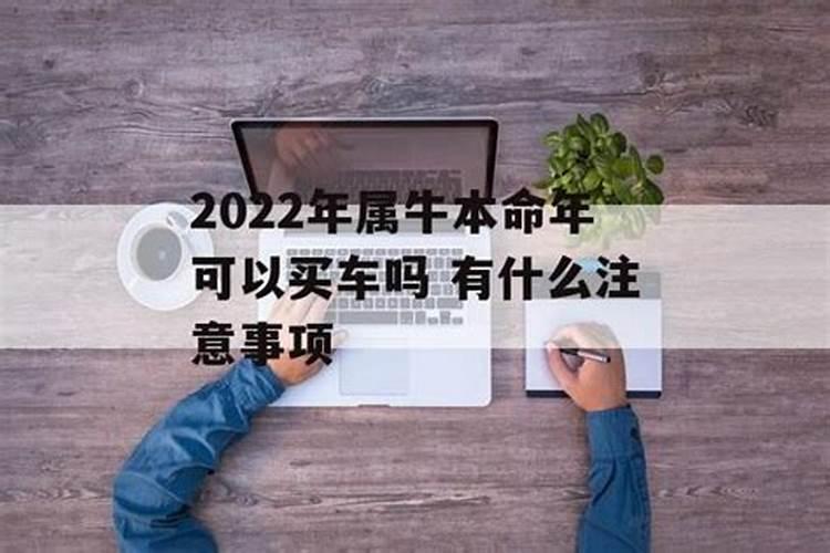 2023本命年可以买车吗