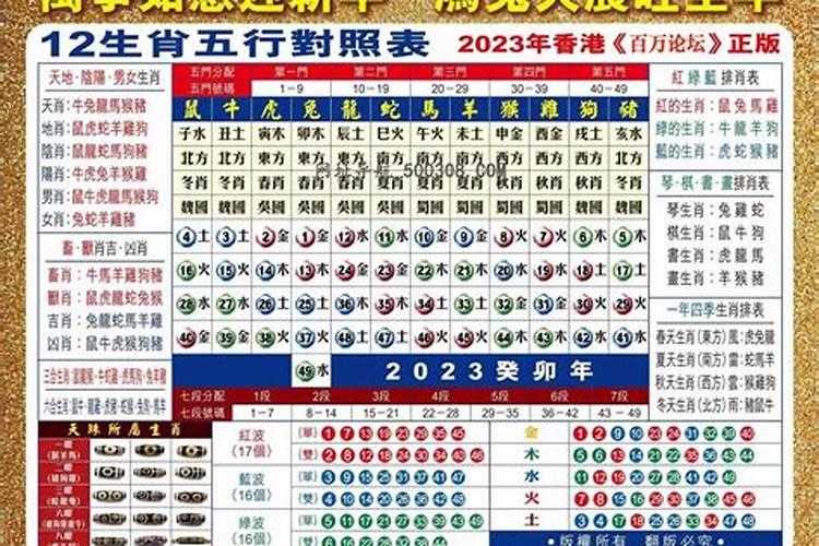 2023年属什么生肖年五行