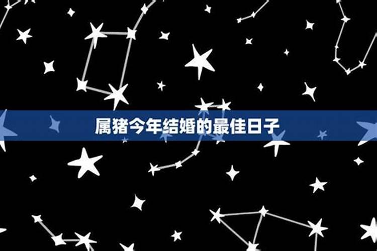 属猪的今年结婚的吉日