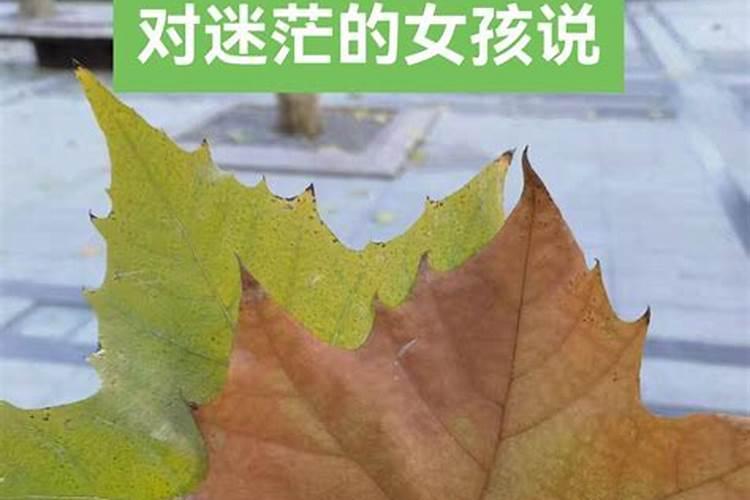 从结婚到现在一直不顺