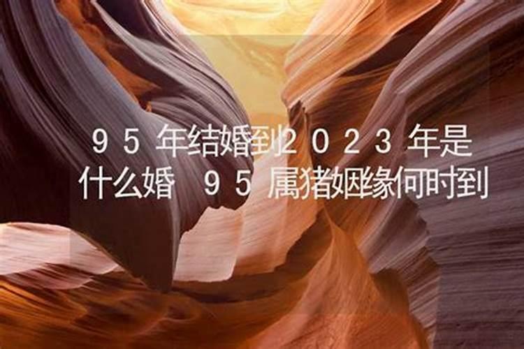 1981年结婚到2023年是什么婚