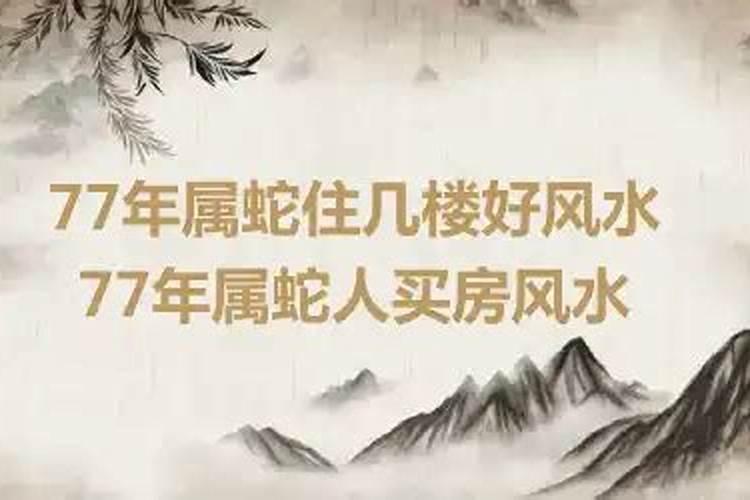 属蛇的人买房子住几楼比较好